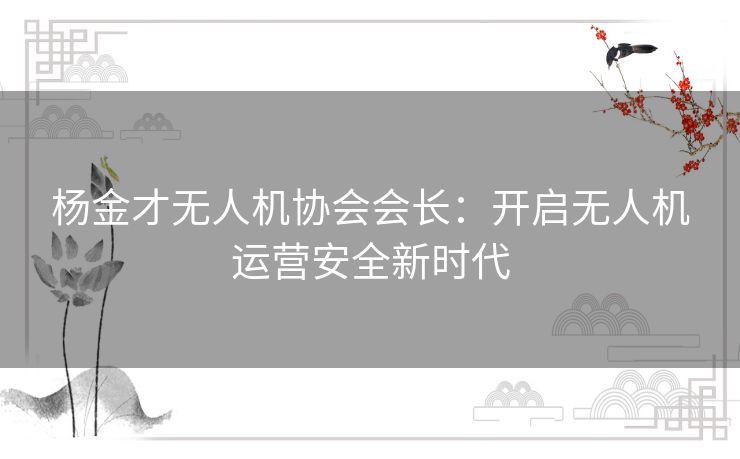 杨金才无人机协会会长：开启无人机运营安全新时代