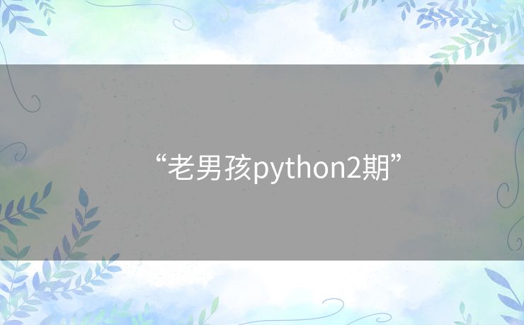 “老男孩python2期”