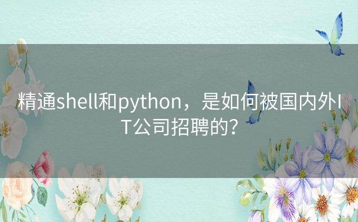 精通shell和python，是如何被国内外IT公司招聘的？