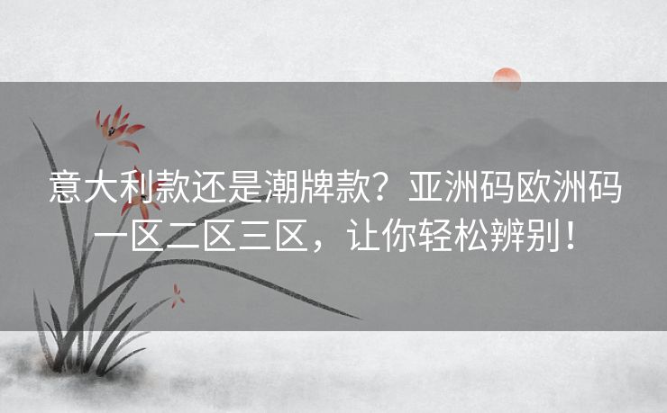 意大利款还是潮牌款？亚洲码欧洲码一区二区三区，让你轻松辨别！