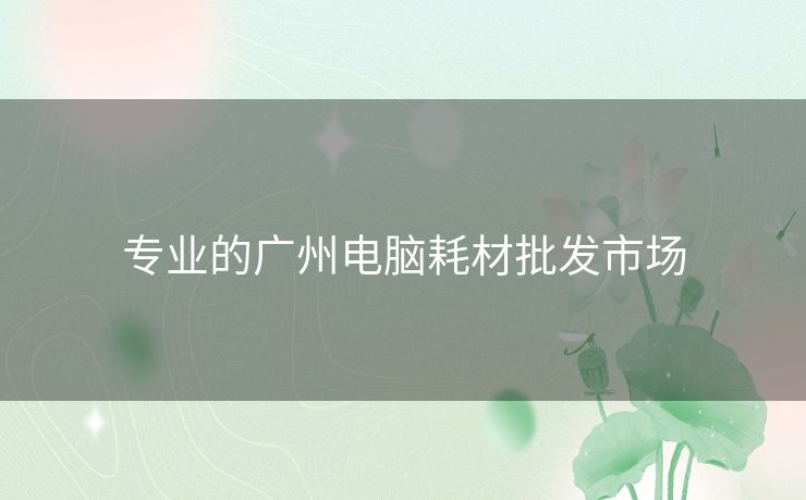 专业的广州电脑耗材批发市场