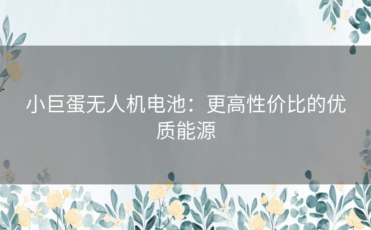 小巨蛋无人机电池：更高性价比的优质能源