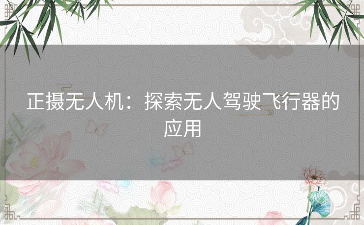 正摄无人机：探索无人驾驶飞行器的应用