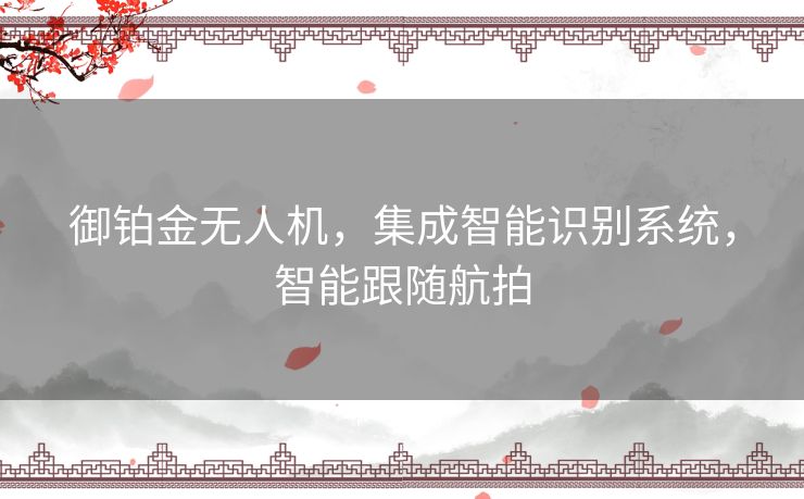御铂金无人机，集成智能识别系统，智能跟随航拍