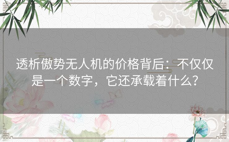 透析傲势无人机的价格背后：不仅仅是一个数字，它还承载着什么？