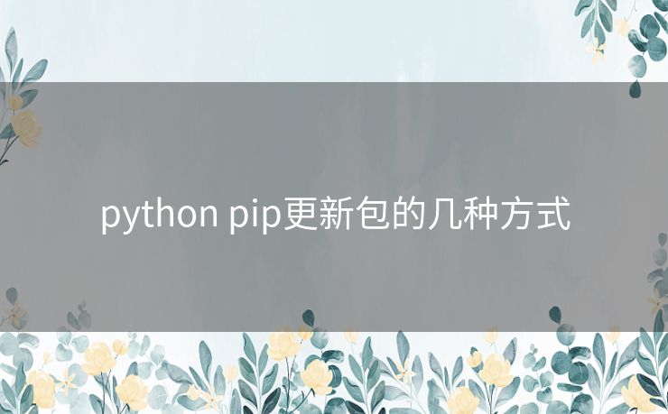python pip更新包的几种方式