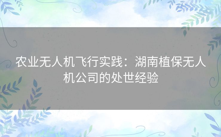 农业无人机飞行实践：湖南植保无人机公司的处世经验