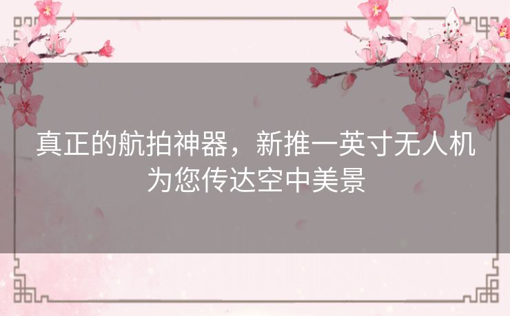 真正的航拍神器，新推一英寸无人机为您传达空中美景