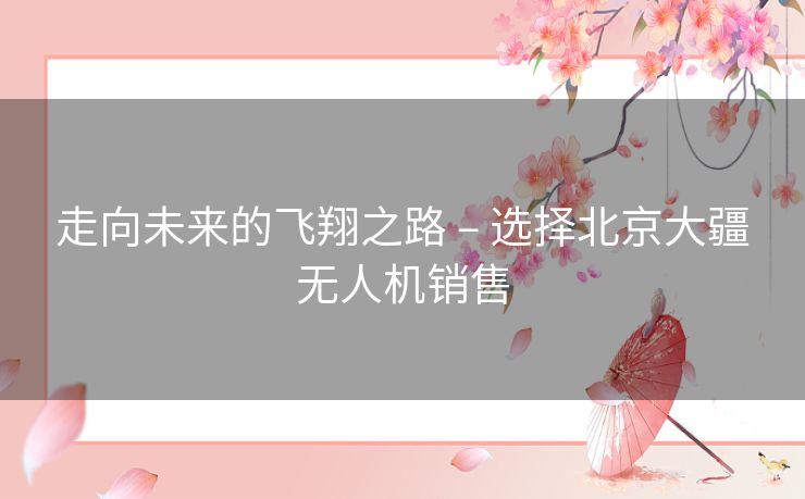 走向未来的飞翔之路 – 选择北京大疆无人机销售