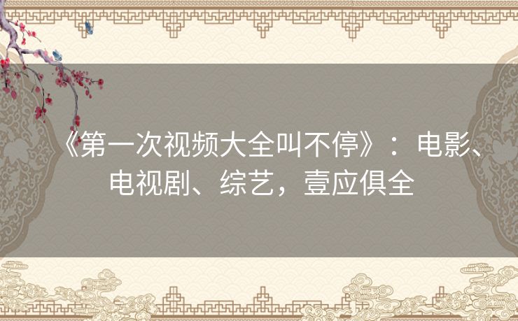 《第一次视频大全叫不停》：电影、电视剧、综艺，壹应俱全