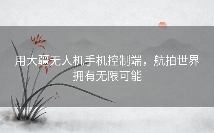用大疆无人机手机控制端，航拍世界拥有无限可能