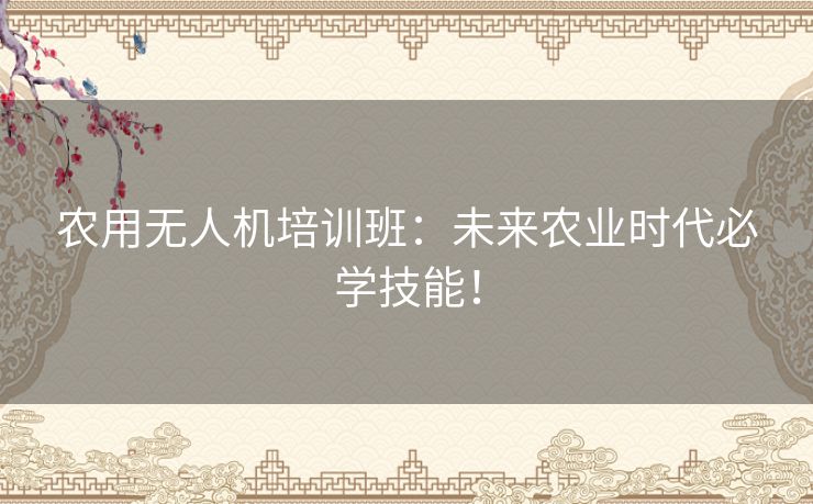 农用无人机培训班：未来农业时代必学技能！