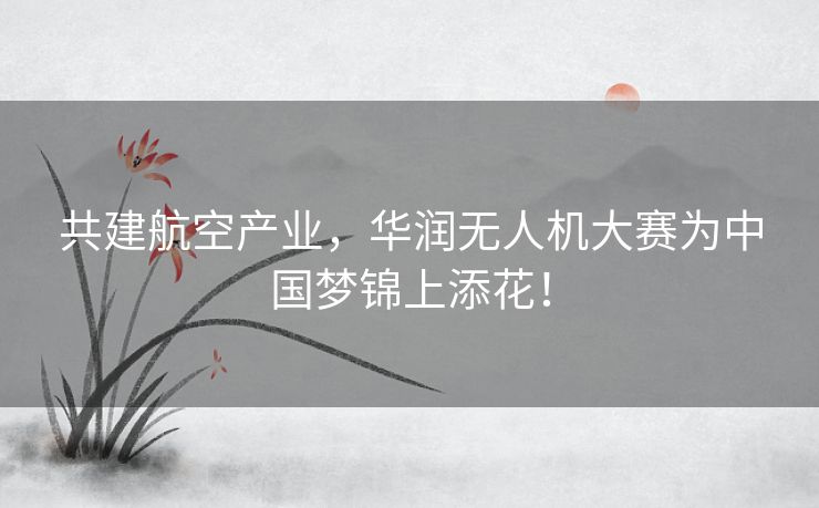 共建航空产业，华润无人机大赛为中国梦锦上添花！