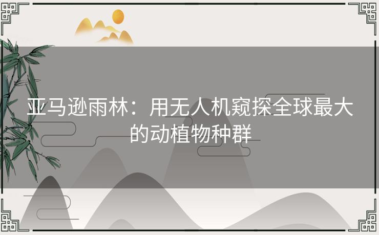 亚马逊雨林：用无人机窥探全球最大的动植物种群