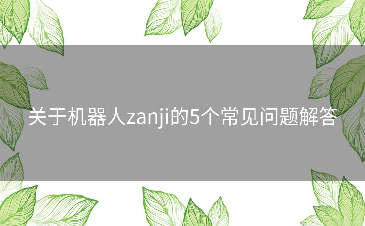 关于机器人zanji的5个常见问题解答