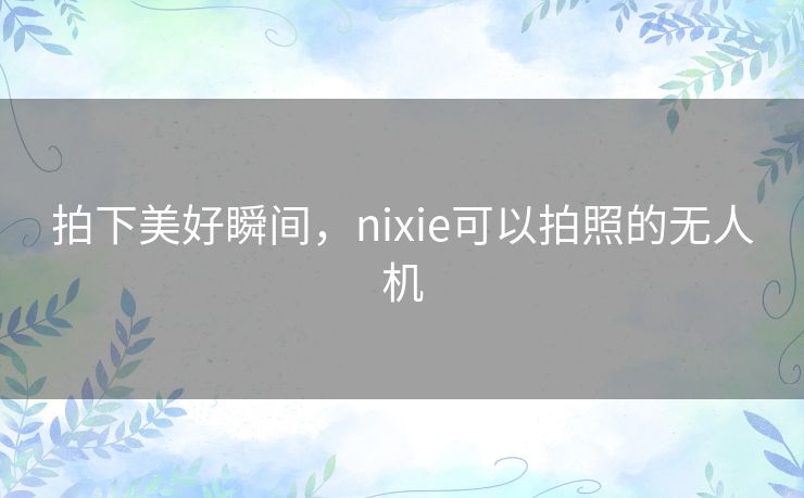 拍下美好瞬间，nixie可以拍照的无人机