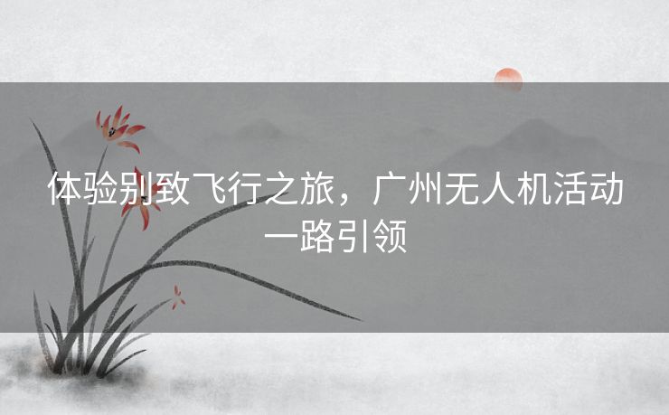 体验别致飞行之旅，广州无人机活动一路引领