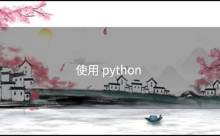使用 python 