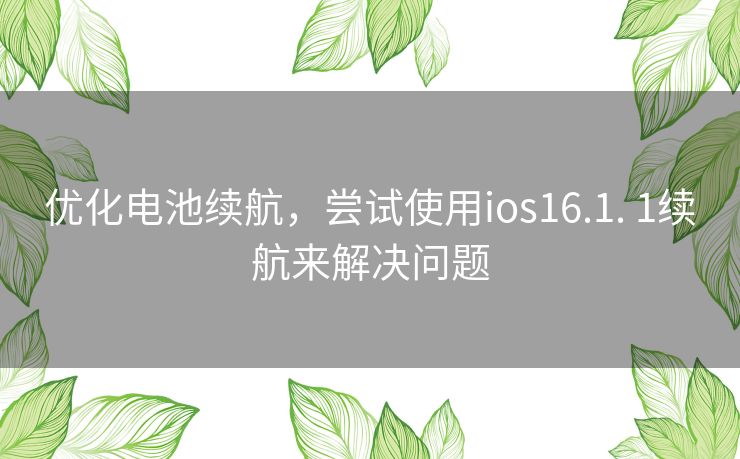 优化电池续航，尝试使用ios16.1. 1续航来解决问题