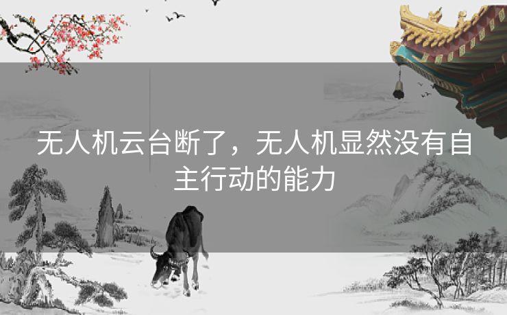 无人机云台断了，无人机显然没有自主行动的能力