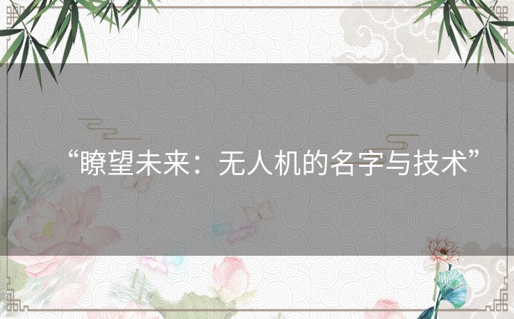 “瞭望未来：无人机的名字与技术”