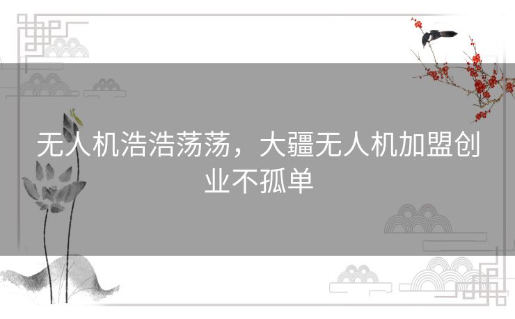 无人机浩浩荡荡，大疆无人机加盟创业不孤单