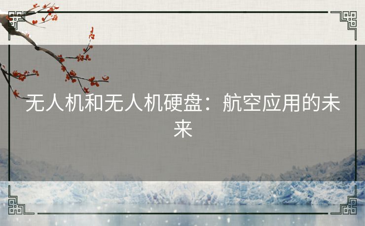 无人机和无人机硬盘：航空应用的未来