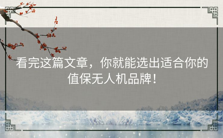 看完这篇文章，你就能选出适合你的值保无人机品牌！