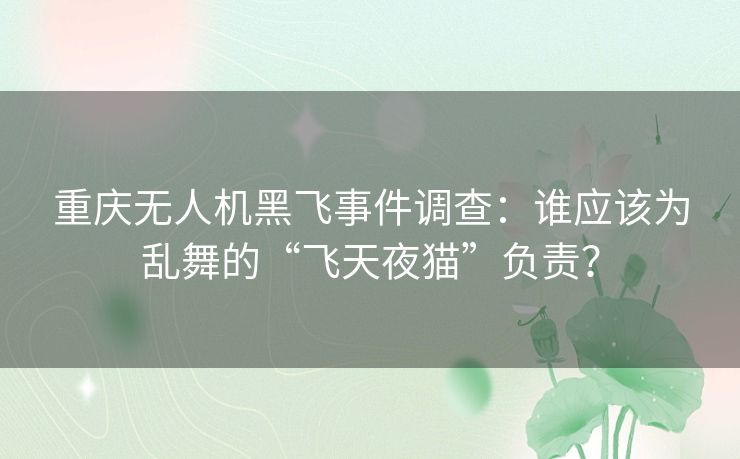 重庆无人机黑飞事件调查：谁应该为乱舞的“飞天夜猫”负责？