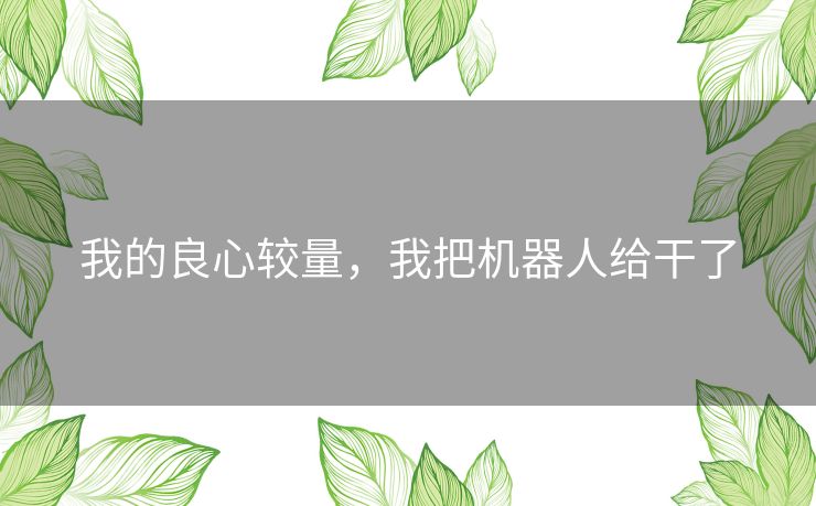 我的良心较量，我把机器人给干了