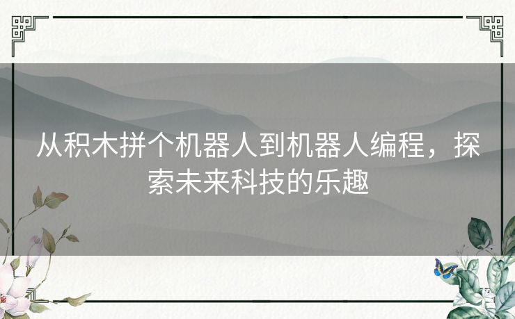 从积木拼个机器人到机器人编程，探索未来科技的乐趣