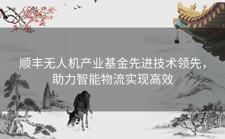 顺丰无人机产业基金先进技术领先，助力智能物流实现高效