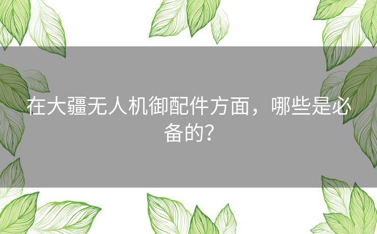 在大疆无人机御配件方面，哪些是必备的？