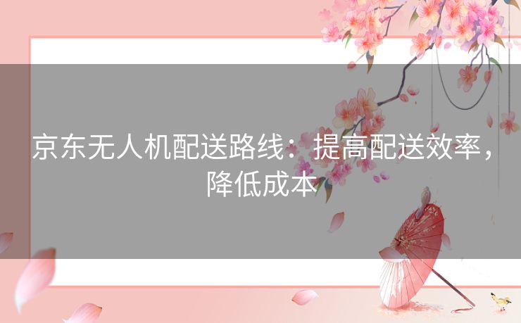 京东无人机配送路线：提高配送效率，降低成本