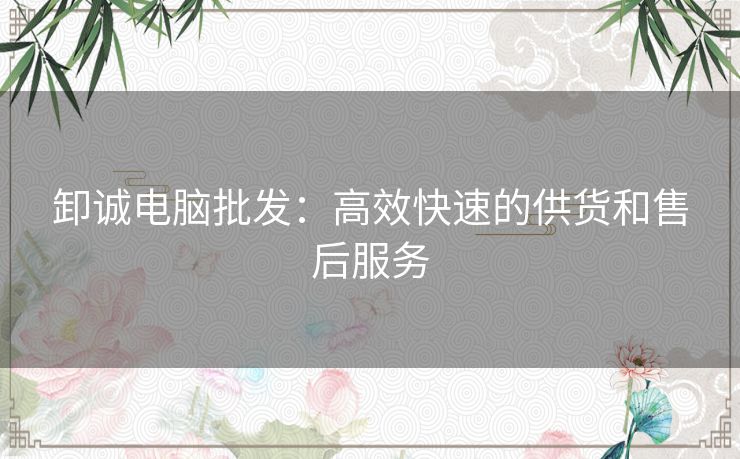 卸诚电脑批发：高效快速的供货和售后服务