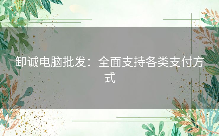卸诚电脑批发：全面支持各类支付方式