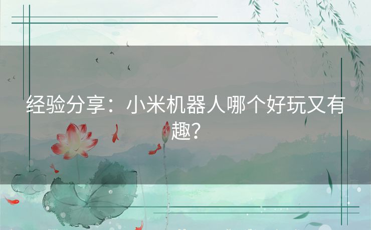 经验分享：小米机器人哪个好玩又有趣？