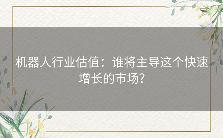 机器人行业估值：谁将主导这个快速增长的市场？