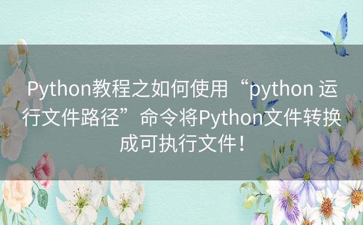 Python教程之如何使用“python 运行文件路径”命令将Python文件转换成可执行文件！