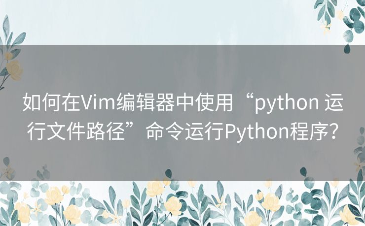 如何在Vim编辑器中使用“python 运行文件路径”命令运行Python程序？