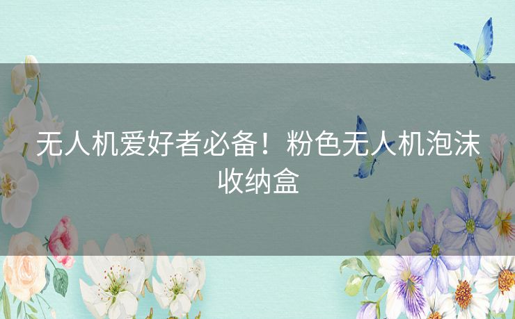 无人机爱好者必备！粉色无人机泡沫收纳盒