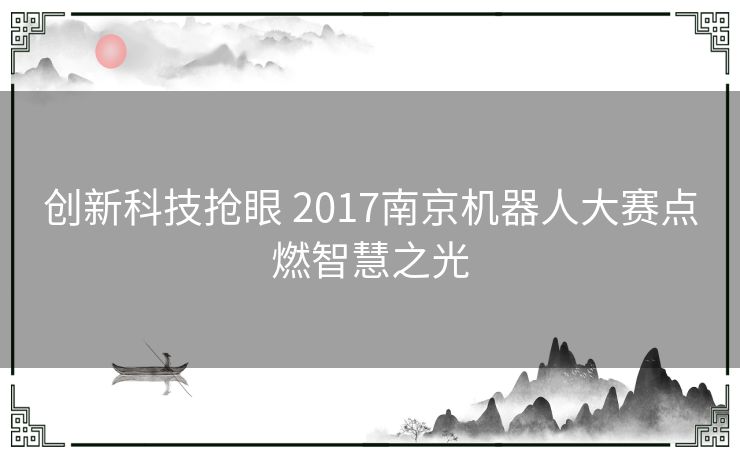 创新科技抢眼 2017南京机器人大赛点燃智慧之光